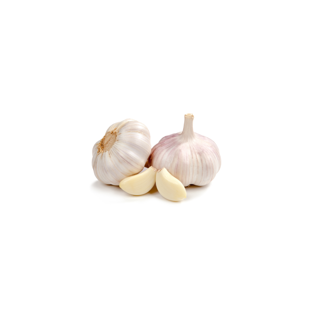 Garlic